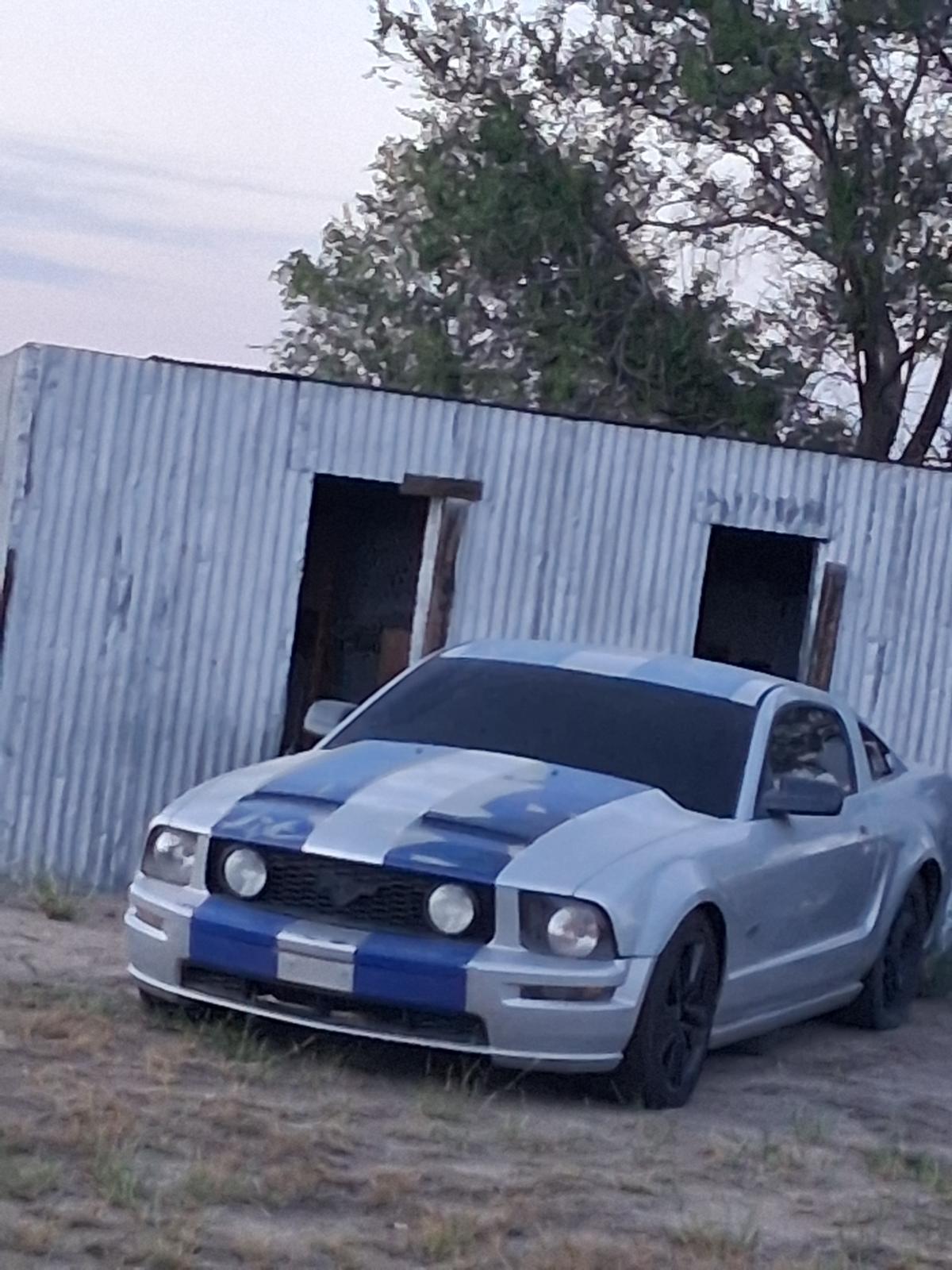 Mustang