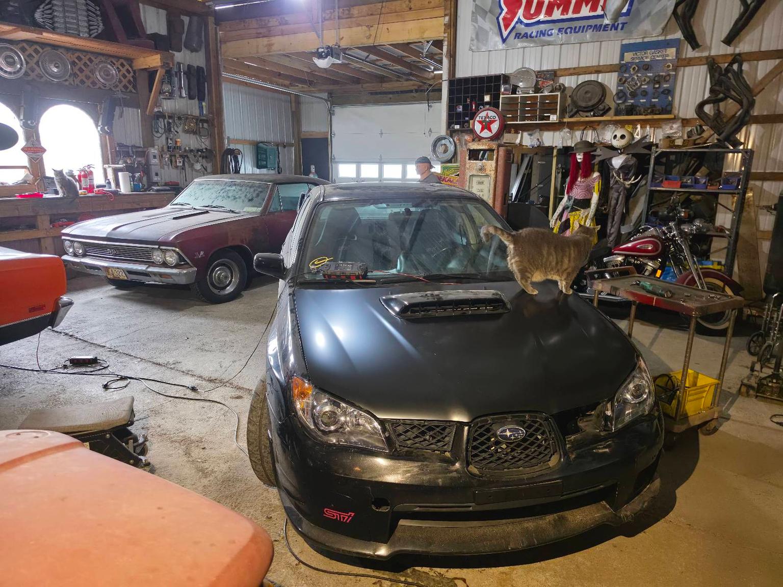 Mounted my unpainted hood to check for gaps in the fenders and everything looks good. Going to order the paint soon and try to get the hood painted while the weather permits. — photo 1